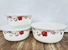 448952. Набор 3-х салатников с крышками «Вероника»