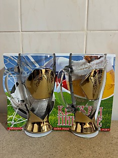 GN1404. Набор 2 кружек для пива «Версаль»