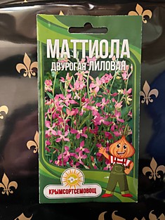 Матиола Двурогая лиловая