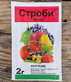 Строби фунгицид