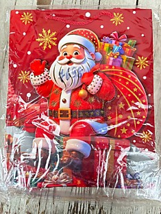 7698. Пакет бумажный 12 шт. 260х320х100 мм