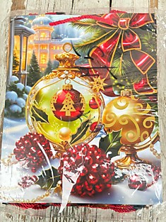 7647. Пакет бумажный 12 шт. 260х320х100 мм