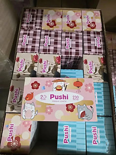 Салфетки в коробке Pushi 230 листов 